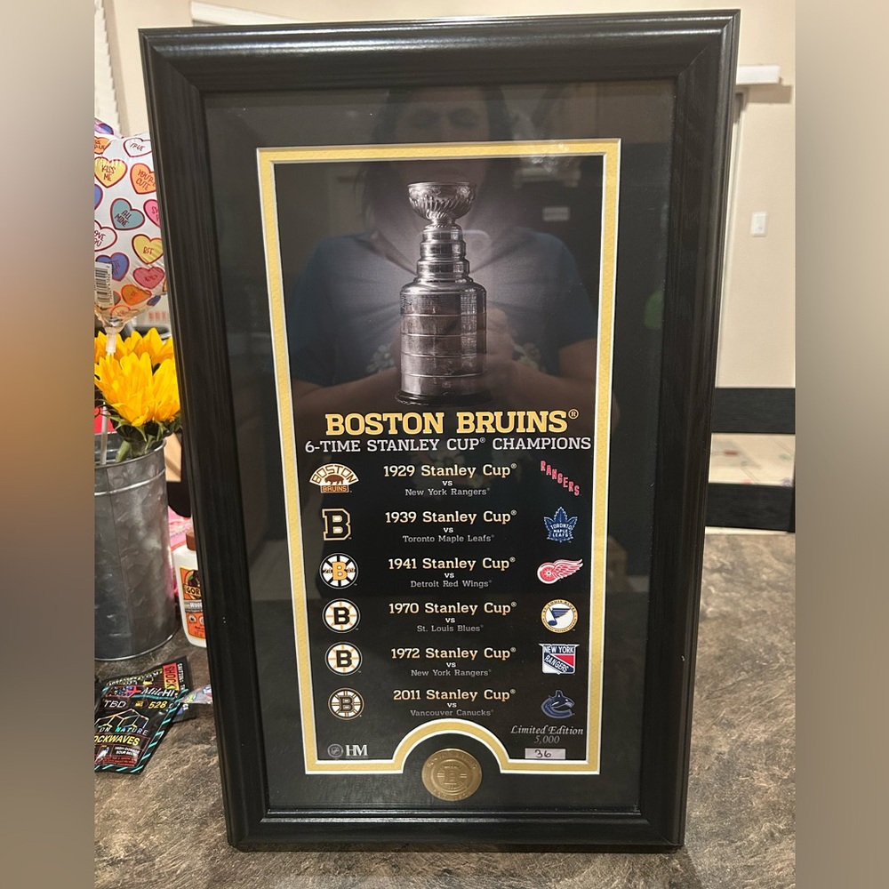 Boston Bruins "Legacy" Supreme Bronze Coin Panoramic Photo